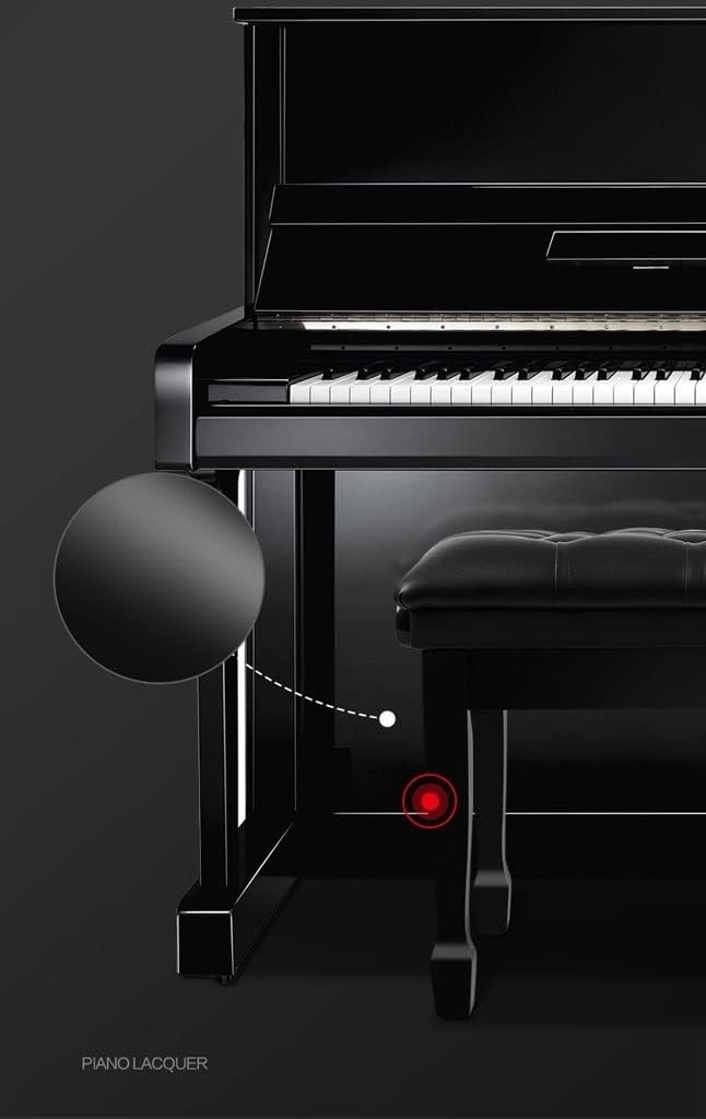 Modern Simple Piano Bench, Vanity Stool with Storage Compartment for Music Books,Padded Keyboard Bench,Black