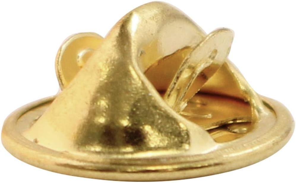 1' Student Government Pin, Enamel Student Government Lapel Pin, Great Education Awards 50 Pack Prime