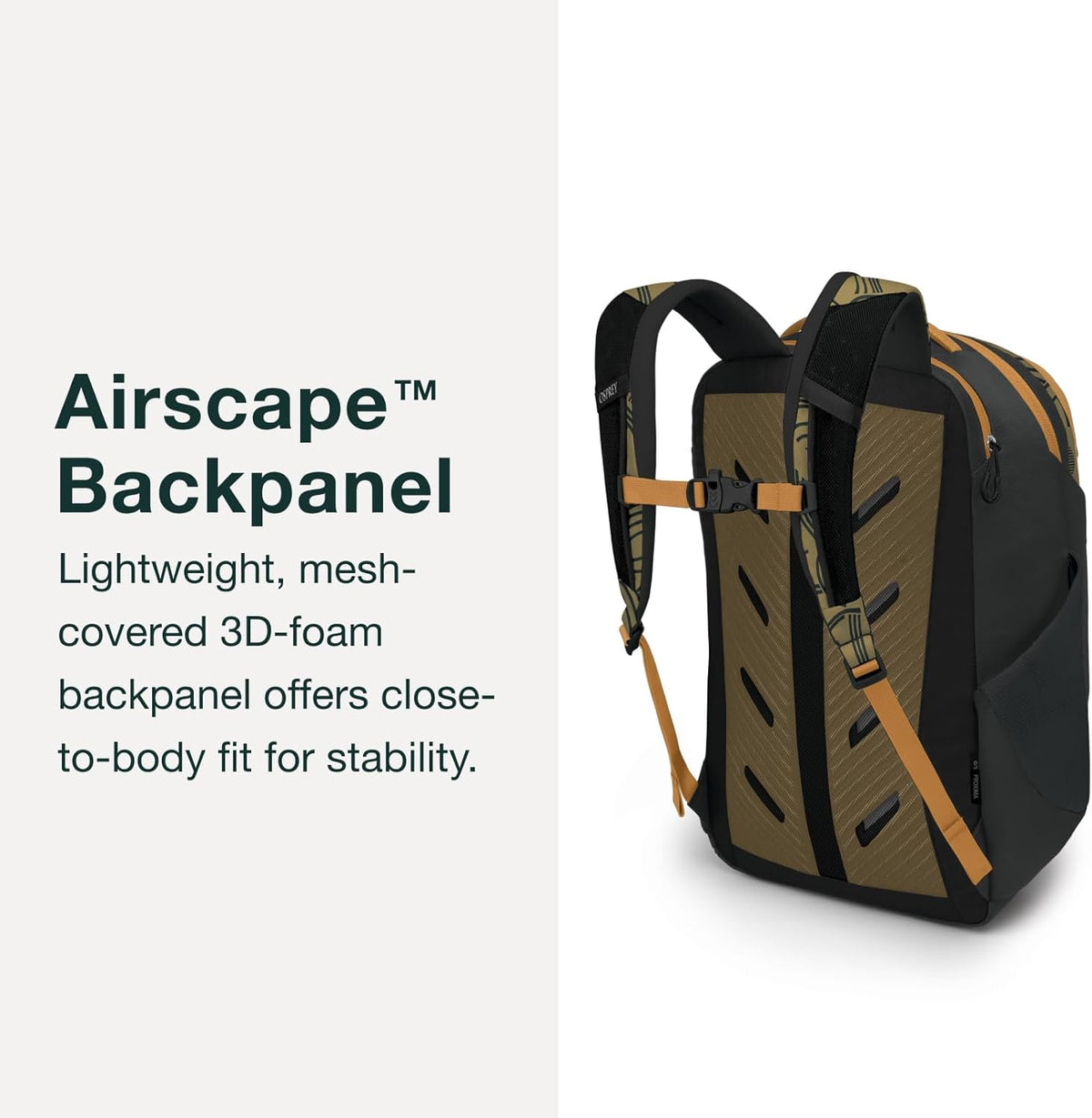 Osprey Proxima 30L Campus Laptop Backpack - Everyday Bag with Tech Storage, Bottle Pockets & Comfortable Carry, Black-Shale Grey
