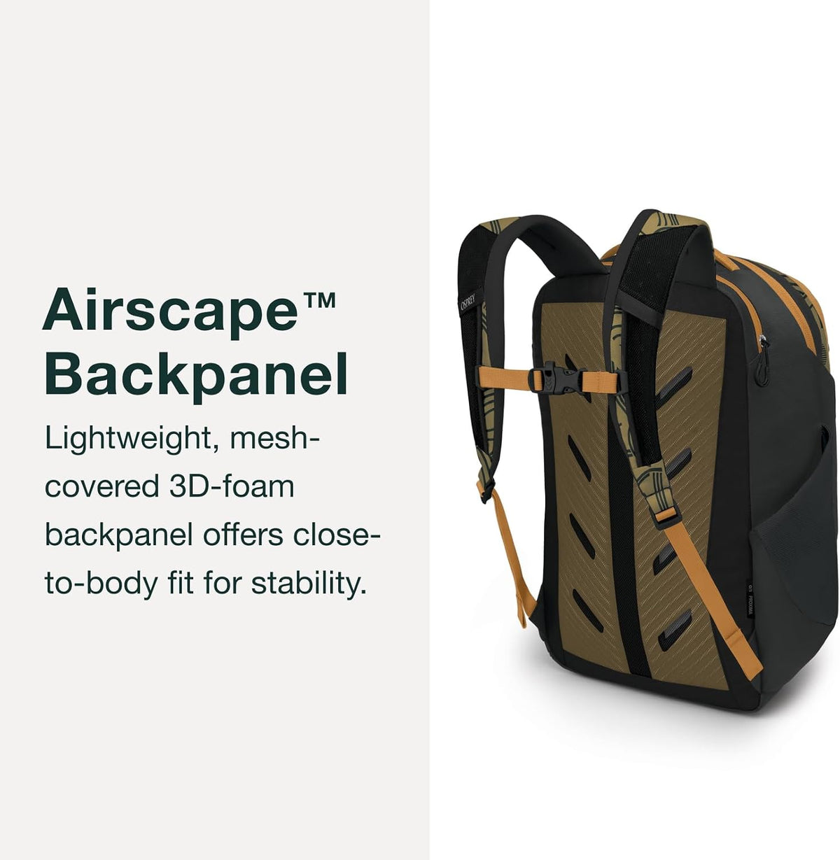 Osprey Proxima 30L Campus Laptop Backpack - Everyday Bag with Tech Storage, Bottle Pockets & Comfortable Carry, Earl Grey