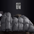 Luxurious All-Season Goose Down Feather Fiber Comforter Queen/Oversize Queen Duvet Insert (98x98), Exquisite Pinch Pleat Design- Gray, Premium Baffle Box, 100% Egyptian Cotton, 70 oz. Fill Weight