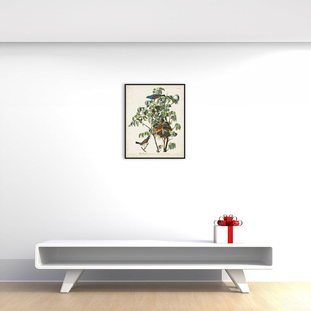 Amanti Art Framed Canvas Wall Art 28x23 Pl 122 Blue Grosbeak by John James Audubon, Framed Wall Art Canvas, Animals Artwork, Modern Decor, Medium Poster Painting for Living Room, Bedroom, Bathroom,
