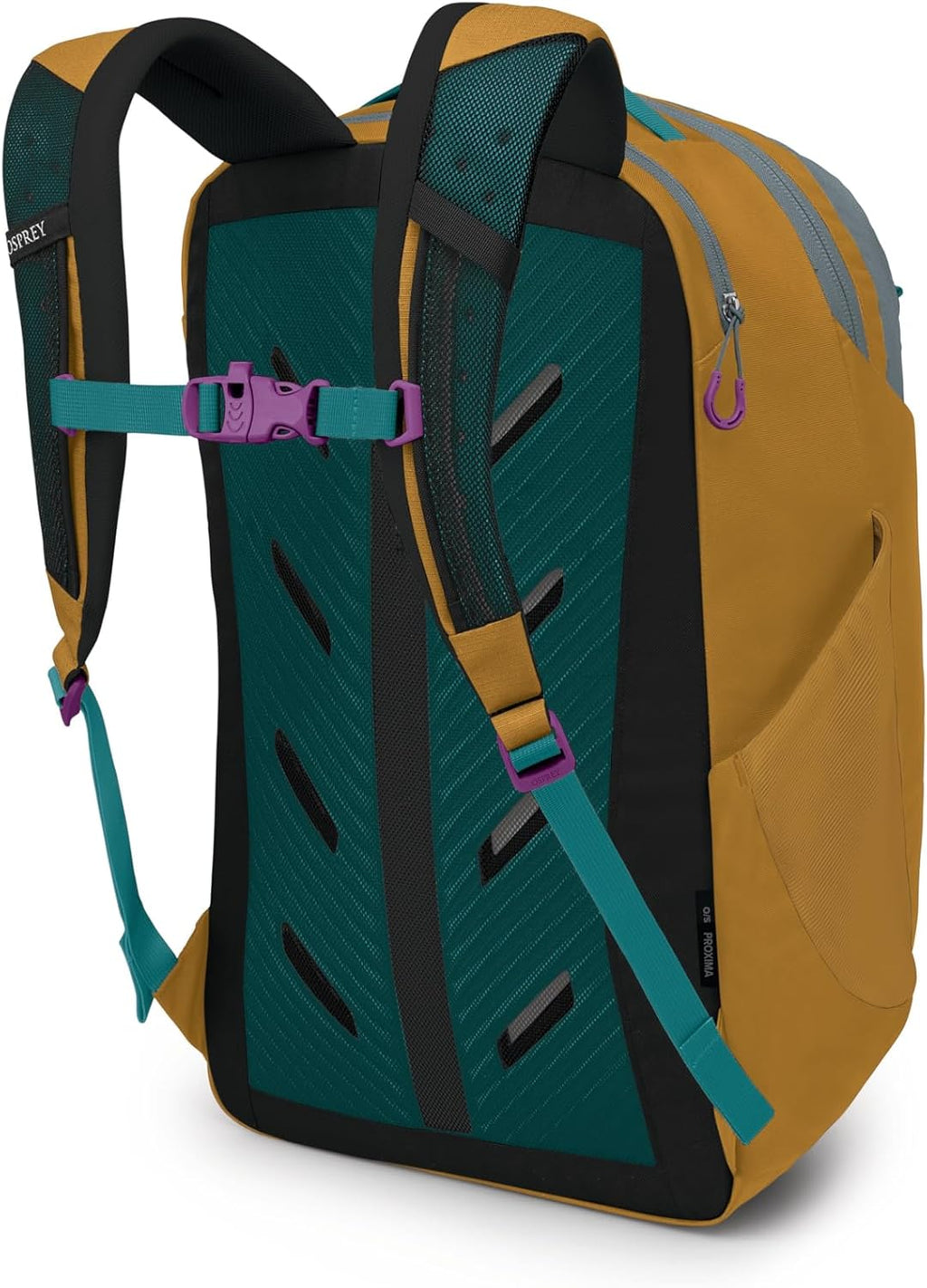 Osprey Proxima 30L Campus Laptop Backpack - Everyday Bag with Tech Storage, Bottle Pockets & Comfortable Carry, Barley Brown