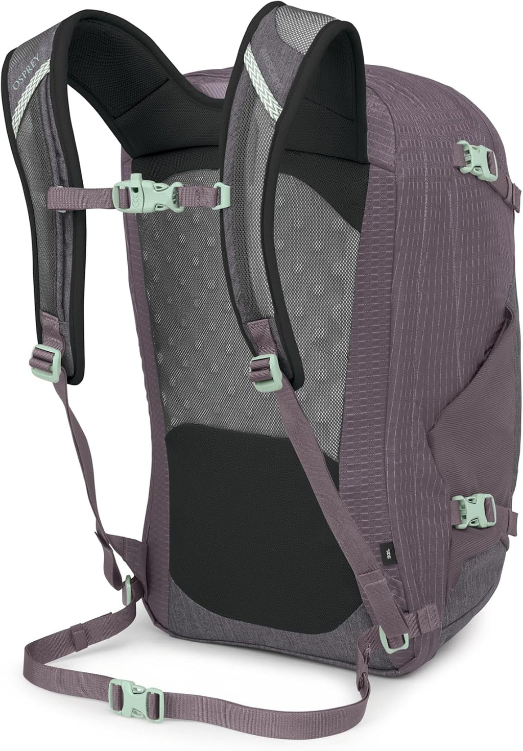 Osprey Nebula Commuter Backpack - Everyday Bag with Laptop Sleeve and Bottle Pockets, Graphite Purple Heather