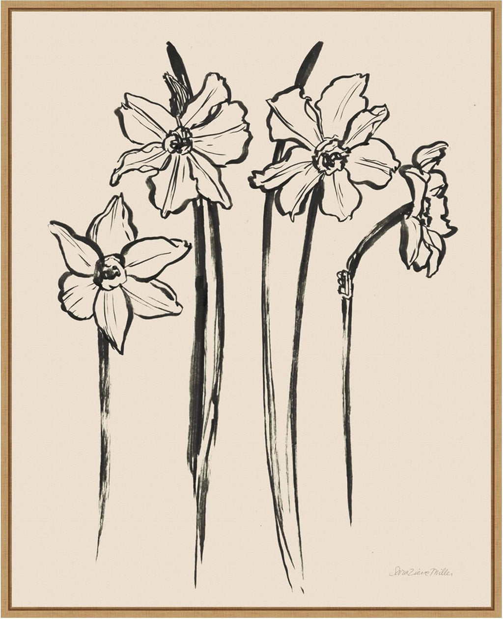 Amanti Art Framed Canvas Wall Art 28x23 Ink Sketch Daffodils by Sara Zieve Miller, Framed Wall Art Canvas, Flowers Artwork, Modern Decor, Medium Poster Painting for Living Room, Bedroom, Bathroom,