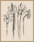 Amanti Art Framed Canvas Wall Art 28x23 Ink Sketch Daffodils by Sara Zieve Miller, Framed Wall Art Canvas, Flowers Artwork, Modern Decor, Medium Poster Painting for Living Room, Bedroom, Bathroom,