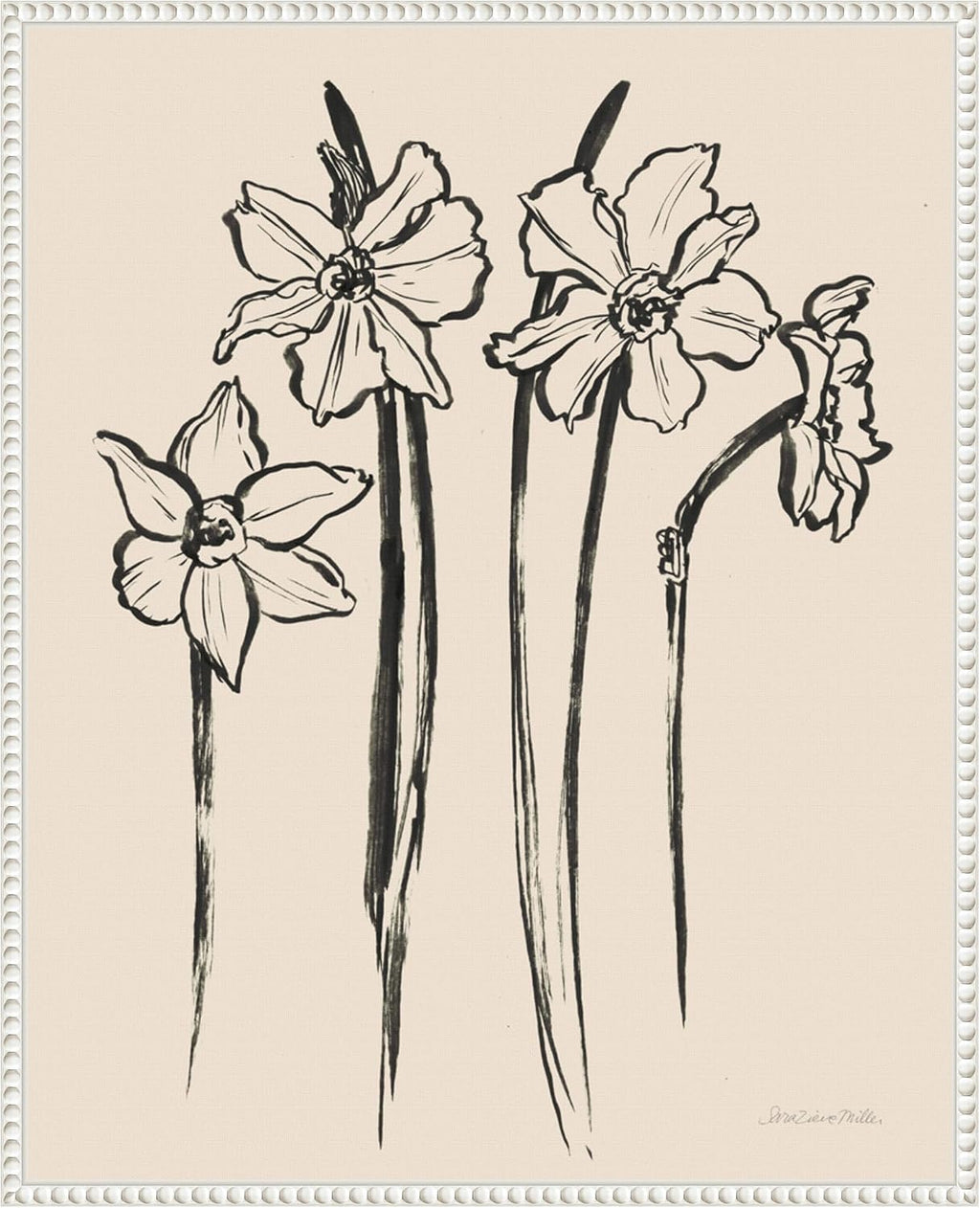 Amanti Art Framed Canvas Wall Art 28x23 Ink Sketch Daffodils by Sara Zieve Miller, Framed Wall Art Canvas, Flowers Artwork, Traditional Decor, Medium Poster Painting for Living Room, Bedroom,