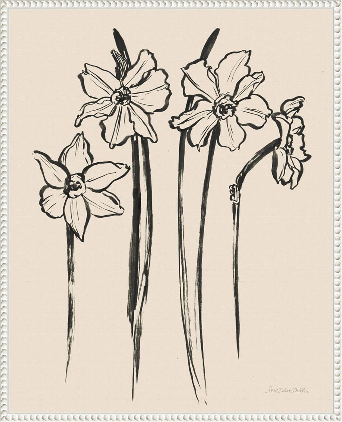 Amanti Art Framed Canvas Wall Art 28x23 Ink Sketch Daffodils by Sara Zieve Miller, Framed Wall Art Canvas, Flowers Artwork, Traditional Decor, Medium Poster Painting for Living Room, Bedroom,
