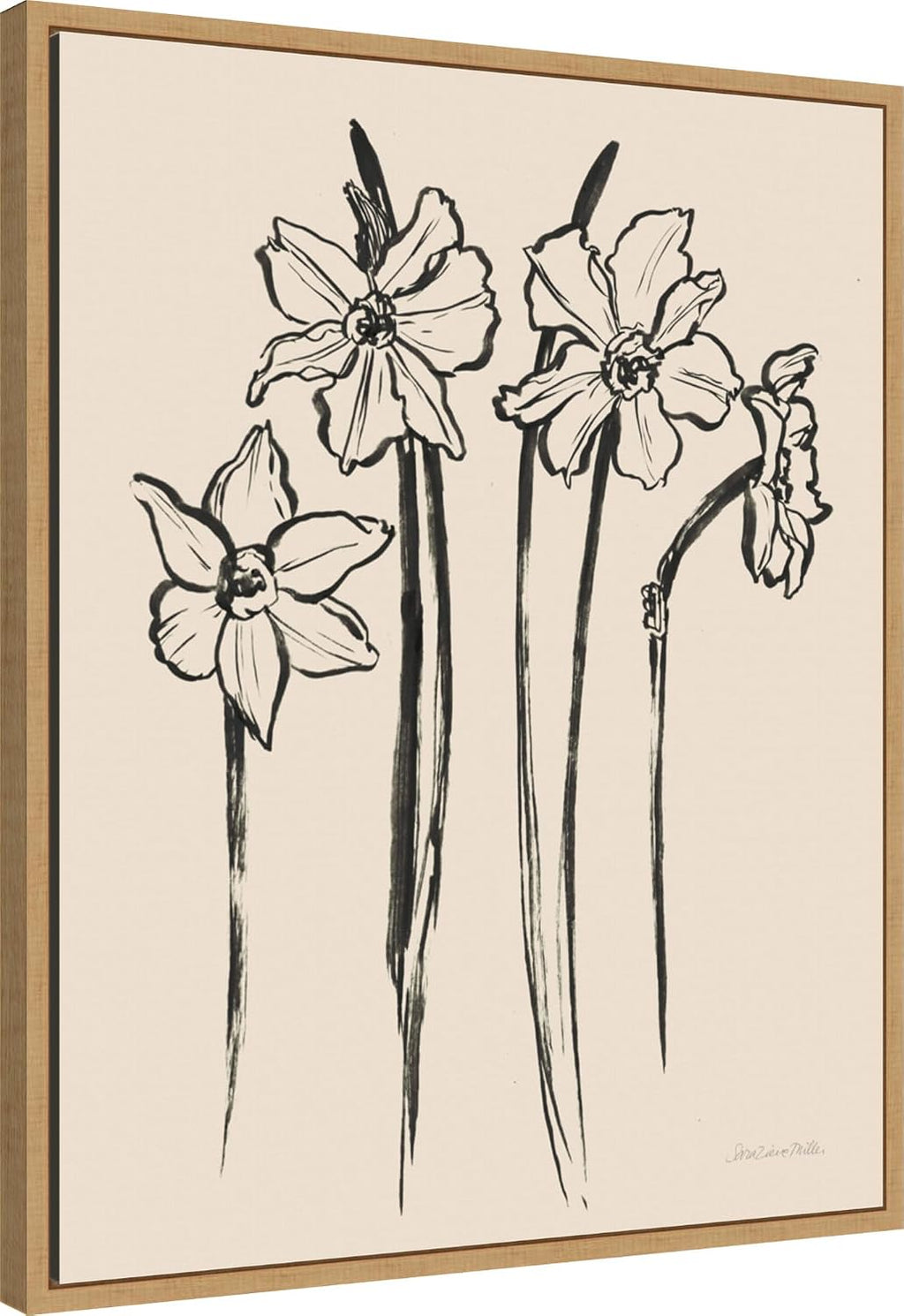Amanti Art Framed Canvas Wall Art 28x23 Ink Sketch Daffodils by Sara Zieve Miller, Framed Wall Art Canvas, Flowers Artwork, Modern Decor, Medium Poster Painting for Living Room, Bedroom, Bathroom,