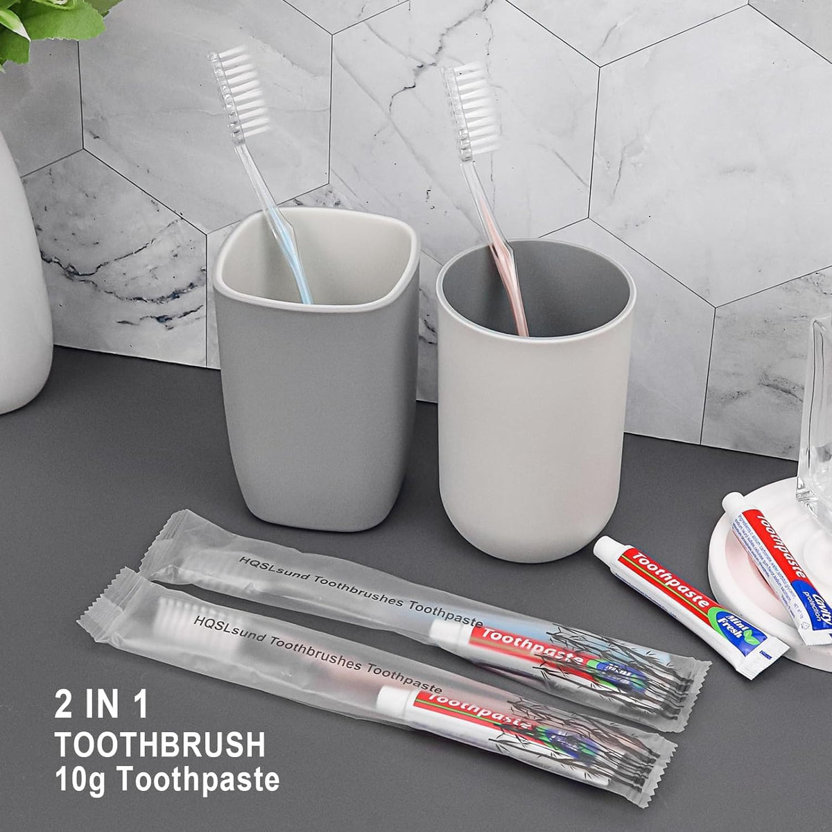 500pcs Disposable Toothbrushes, 2 Color, Travel Toothpaste for Homeless, Airbnb, Hotel