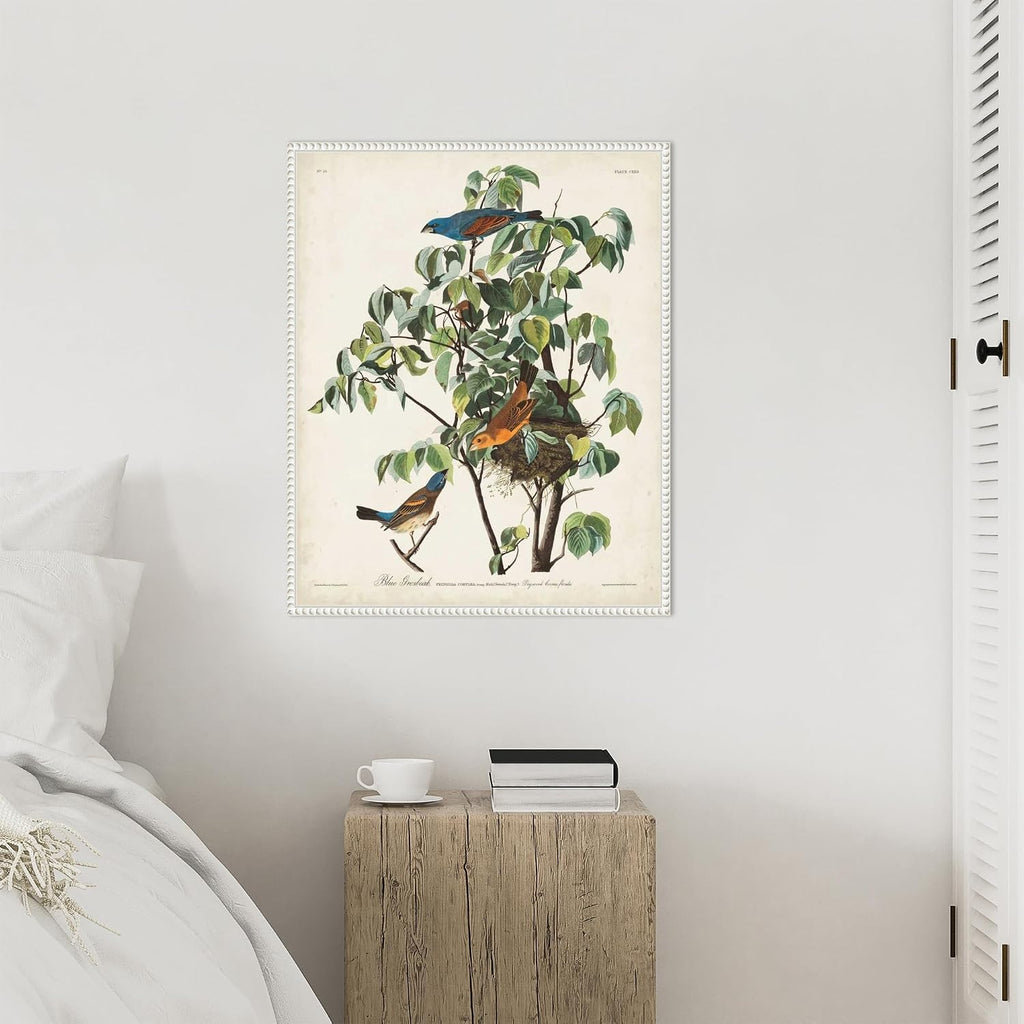 Amanti Art Framed Canvas Wall Art 28x23 Pl 122 Blue Grosbeak by John James Audubon, Framed Wall Art Canvas, Animals Artwork, Traditional Decor, Medium Poster Painting for Living Room, Bedroom,