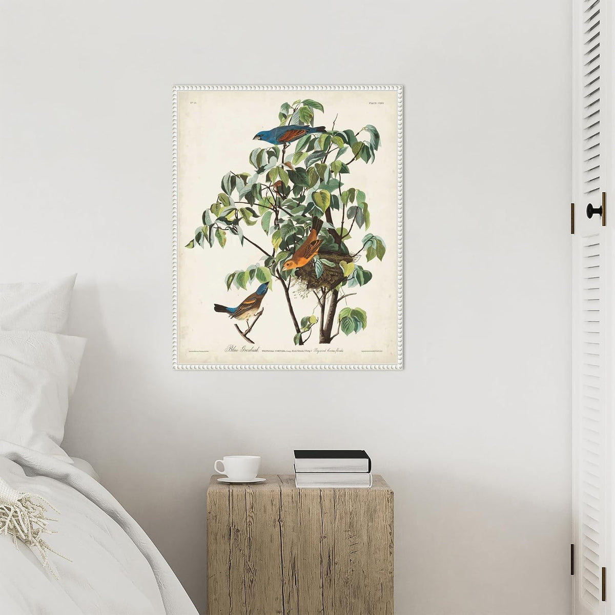Amanti Art Framed Canvas Wall Art 28x23 Pl 122 Blue Grosbeak by John James Audubon, Framed Wall Art Canvas, Animals Artwork, Traditional Decor, Medium Poster Painting for Living Room, Bedroom,