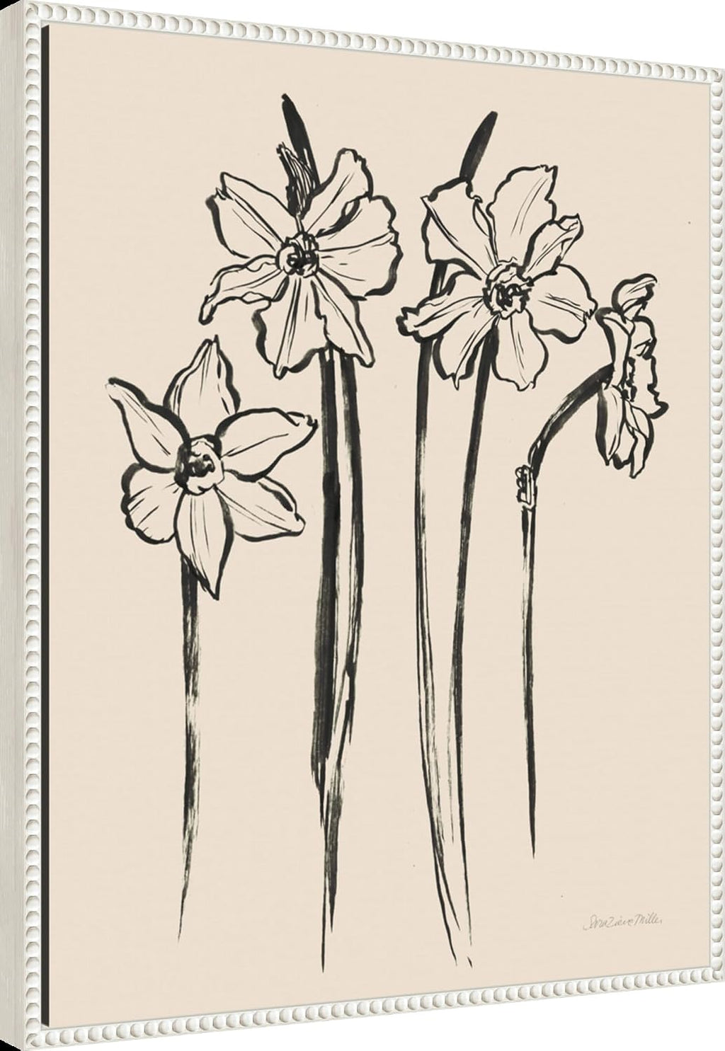 Amanti Art Framed Canvas Wall Art 28x23 Ink Sketch Daffodils by Sara Zieve Miller, Framed Wall Art Canvas, Flowers Artwork, Traditional Decor, Medium Poster Painting for Living Room, Bedroom,
