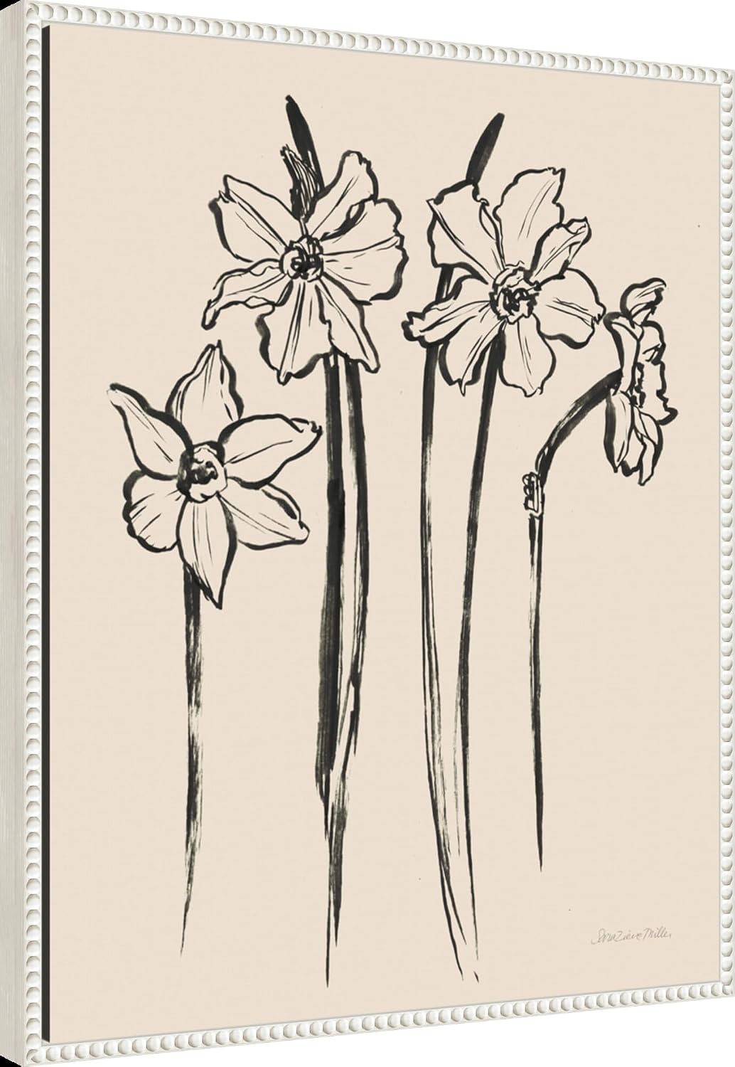 Amanti Art Framed Canvas Wall Art 28x23 Ink Sketch Daffodils by Sara Zieve Miller, Framed Wall Art Canvas, Flowers Artwork, Traditional Decor, Medium Poster Painting for Living Room, Bedroom,