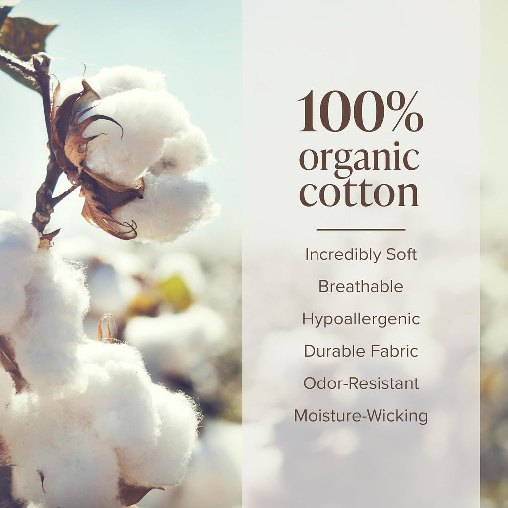 Bare Home Organic Cotton Flannel Sheet Set - Split King Size - 100% Cotton - Double Brushed for Extra Softness & Comfort - Warm, Cozy, and Durable - Breathable - Bed Sheets (Split King, White)