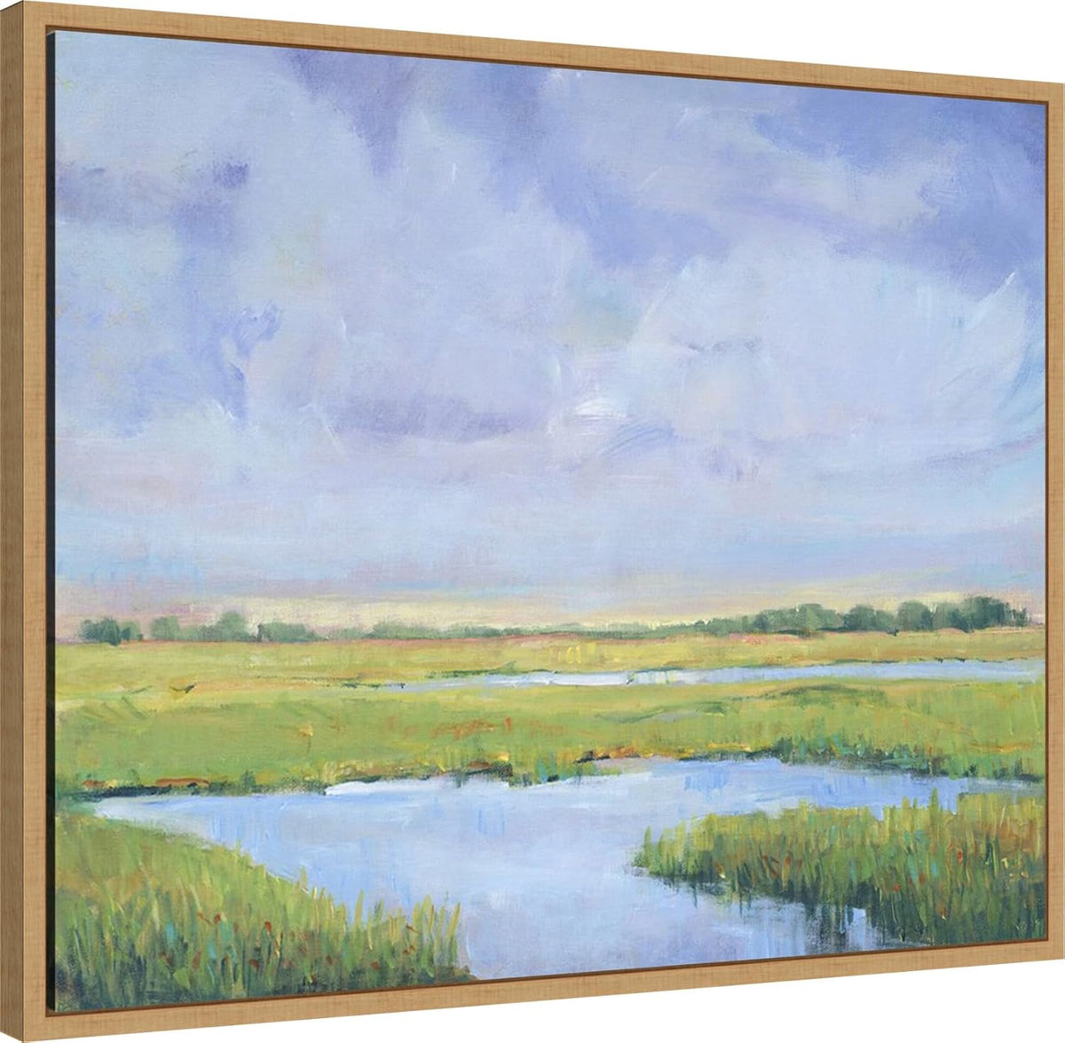 Amanti Art Framed Canvas Wall Art 23x28 Summer Marsh I by Tim O'Toole, Framed Wall Art Canvas, Landscapes Artwork, Modern Decor, Medium Poster Painting for Living Room, Bedroom, Bathroom, Kitchen,