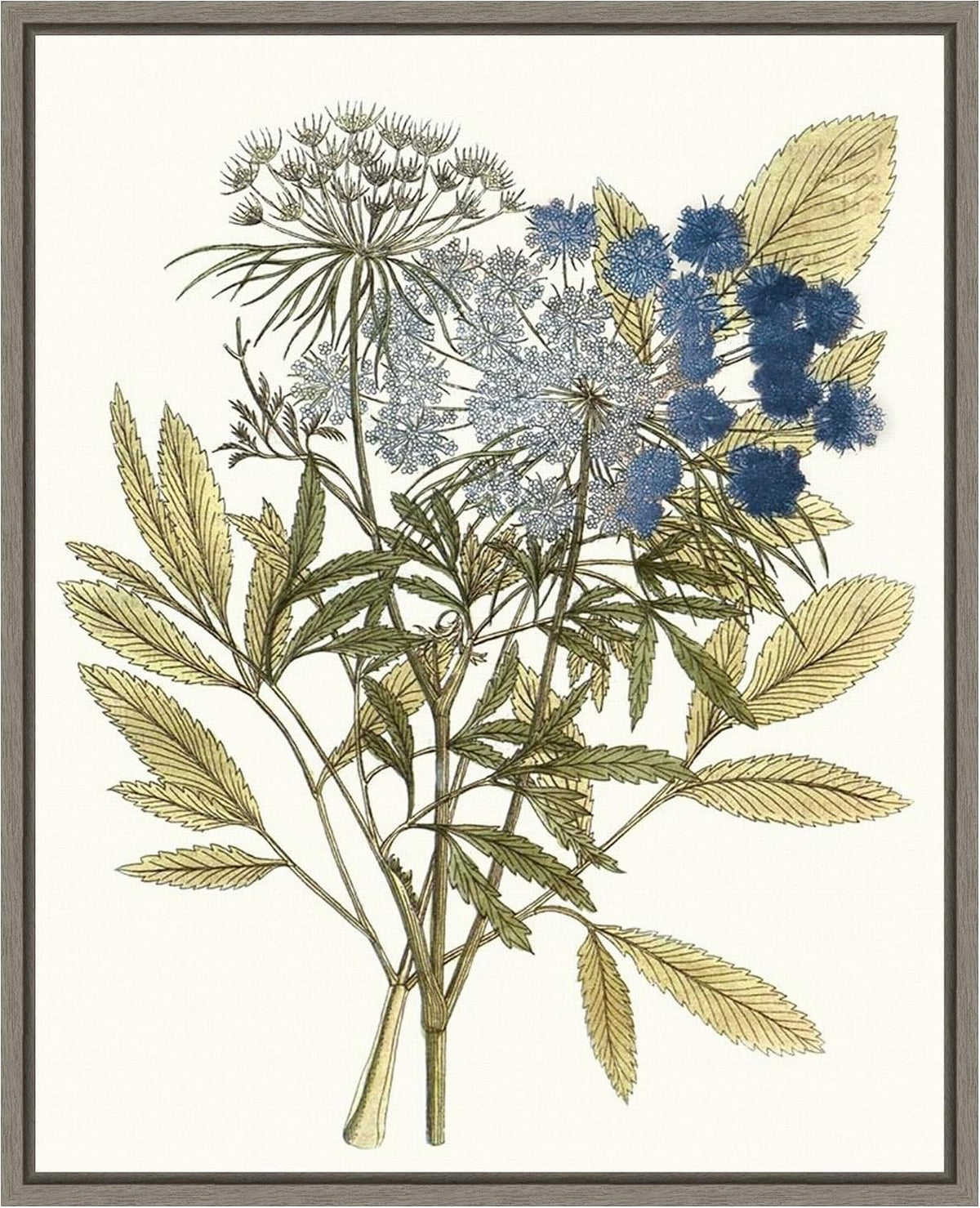 Amanti Art Framed Canvas Wall Art 28x23 Lacy Leaves I, Framed Wall Art Canvas, Flowers Artwork, Country Rustic Decor, Medium Poster Painting for Living Room, Bedroom, Bathroom, Kitchen, Office or