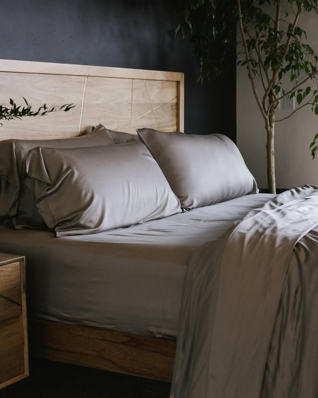 Cozy Earth Luxury Bed Sheet Set - 100% Viscose from Bamboo Fabric, Ultra-Soft & Breathable, Fits Regular & Deep Pocket Mattresses up to 20' - 4 Pieces Queen Sheet Set Dove Grey