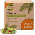 Raj Palm Leaf Plates Bulk [50-Pack] 7' Square Plates(5 CASES - 250 PACK) like Bamboo plates Disposable, Strong, Decorative Compostable Tableware for weddings, Lunch, Dinner, Birthday, Camping