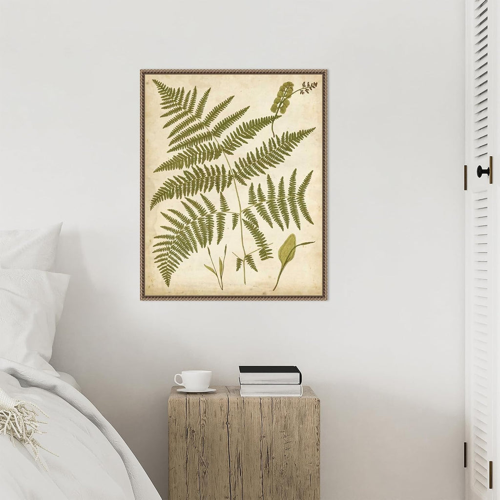 Amanti Art Framed Canvas Wall Art 28x23 Fern Portfolio IV by Francis Heath, Framed Wall Art Canvas, Nature Artwork, Traditional Decor, Medium Poster Painting for Living Room, Bedroom, Bathroom,