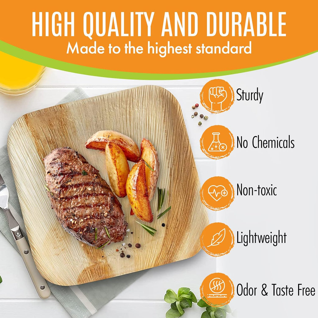 Raj Palm Leaf Plates Bulk [50-Pack] 7' Square Plates(5 CASES - 250 PACK) like Bamboo plates Disposable, Strong, Decorative Compostable Tableware for weddings, Lunch, Dinner, Birthday, Camping
