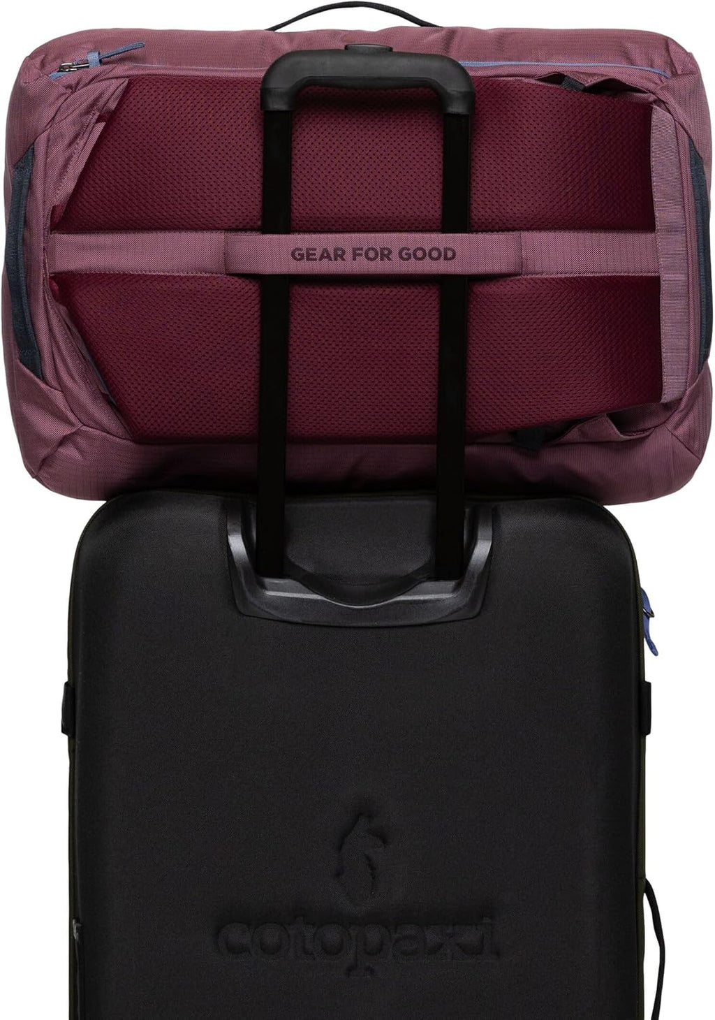 Cotopaxi Allpa 35L Travel Pack, Fig
