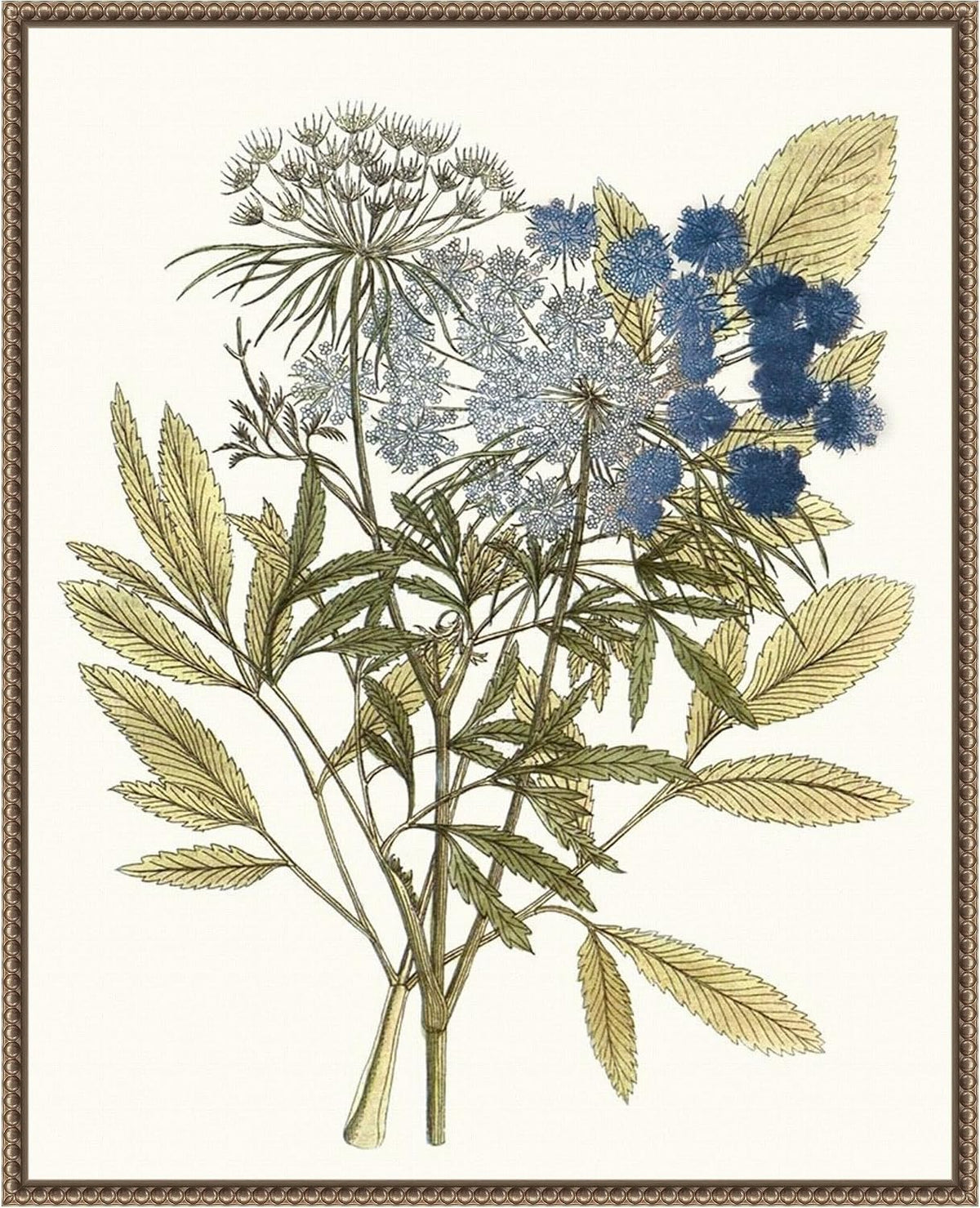 Amanti Art Framed Canvas Wall Art 28x23 Lacy Leaves I, Framed Wall Art Canvas, Flowers Artwork, Traditional Decor, Medium Poster Painting for Living Room, Bedroom, Bathroom, Kitchen, Office or